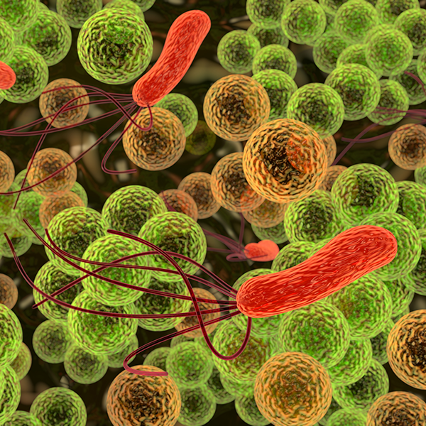 Mikrobiom & Infektion 