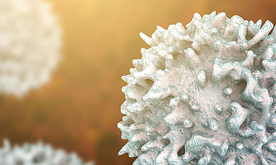 Immunzellen - AdobeStock/Kateryna_Kon