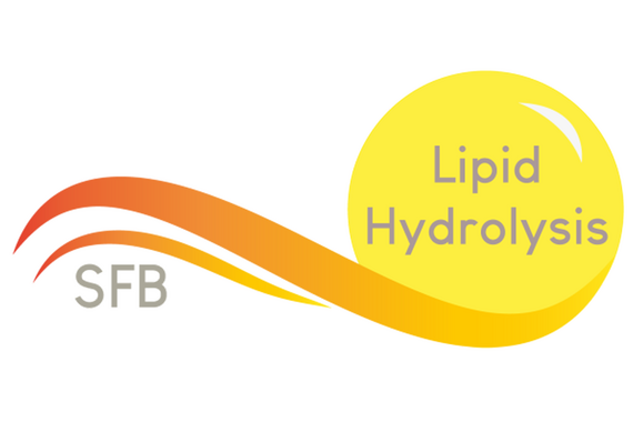 Logo Lipidhydrolysis