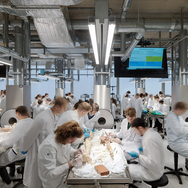 Lehrstuhl für makroskopische und klinische Anatomie